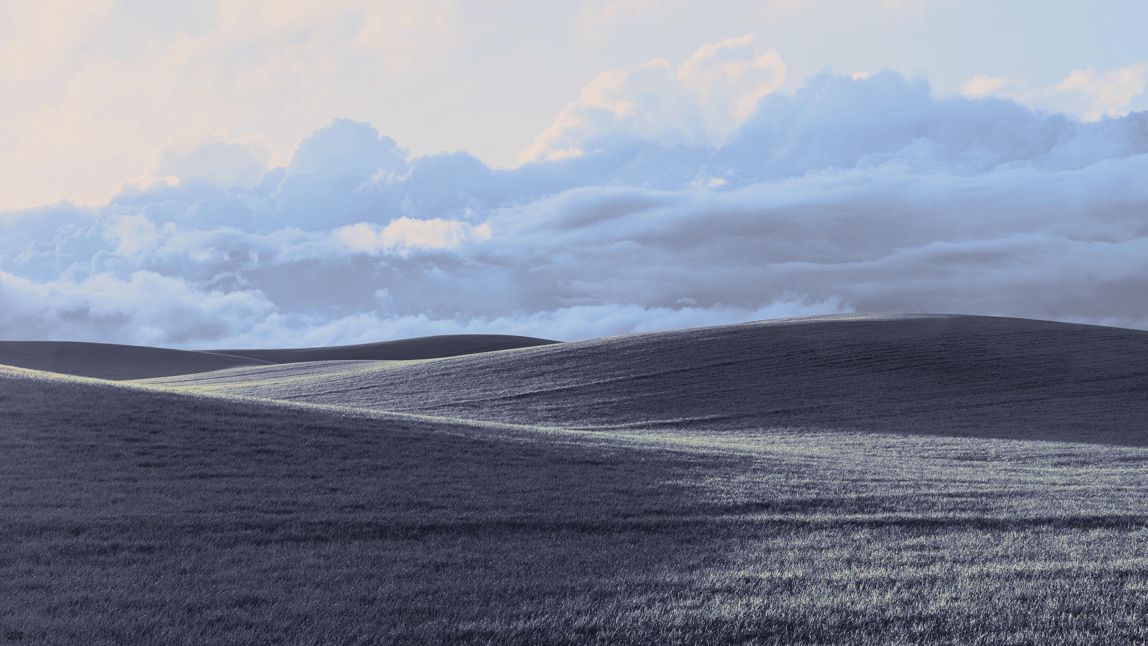 Foresite News is live